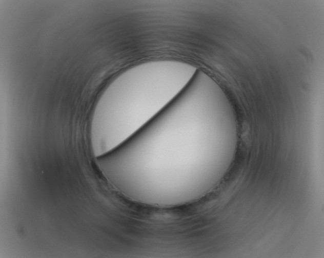 X0000115640547200911101058