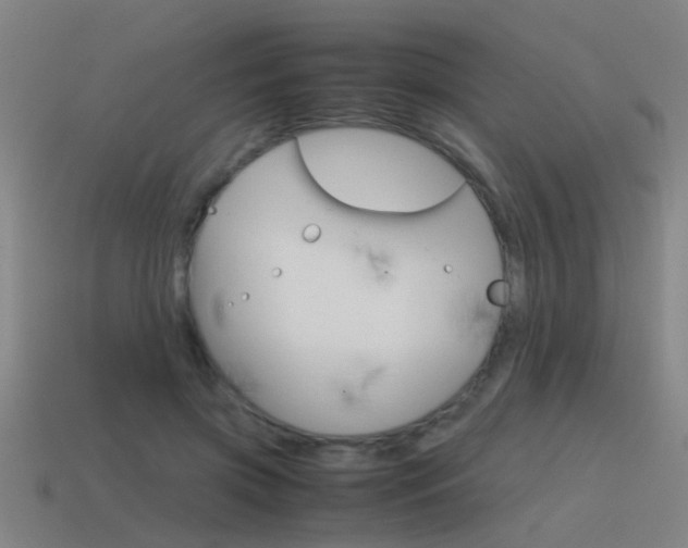 X0000115640549200911101058