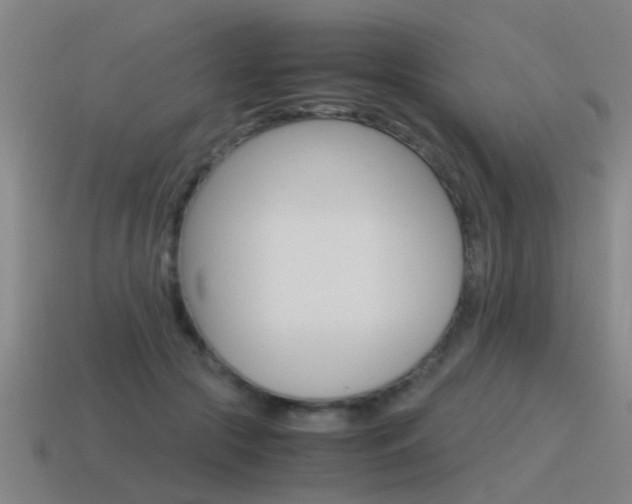 X0000115640553200911101058