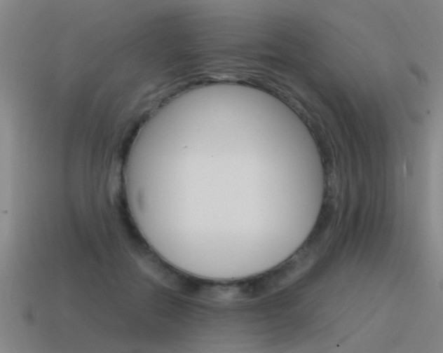 X0000115640554200911101058