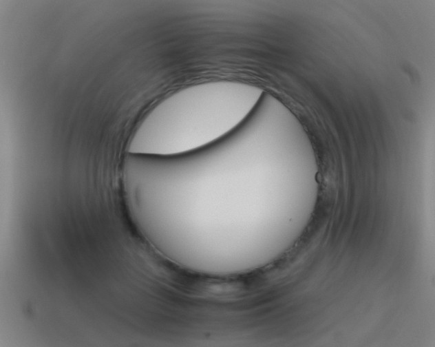 X0000115640555200911101058