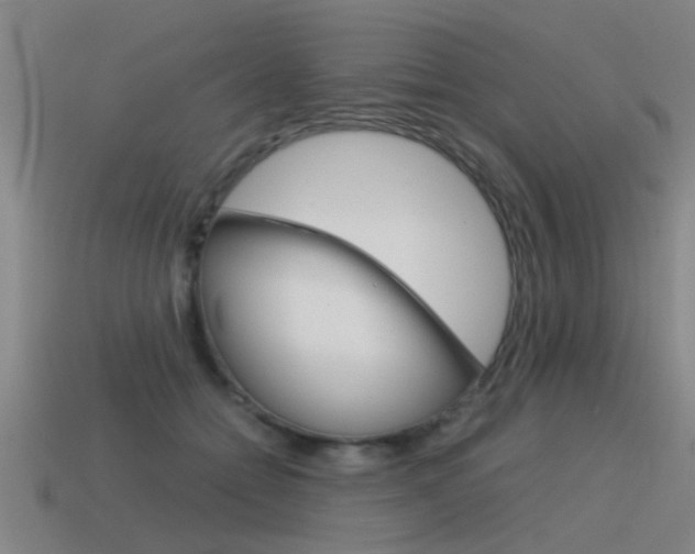 X0000115640558200911101058
