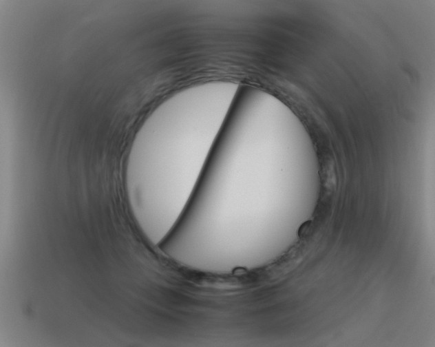 X0000115640559200911101058