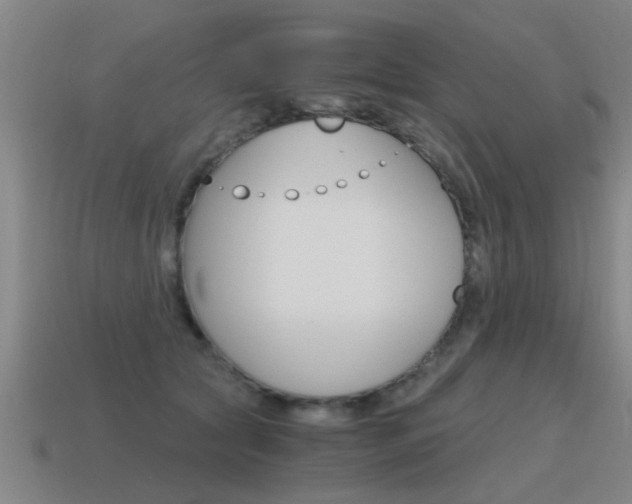 X0000115640561200911101058