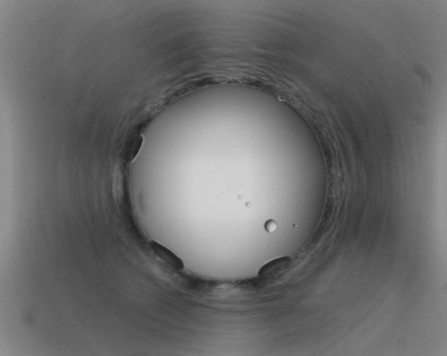 X0000115640562200911101058