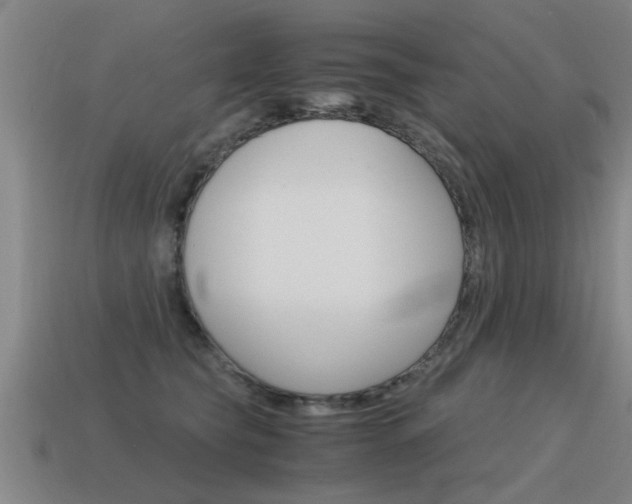 X0000115640565200911101058