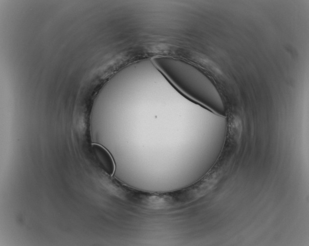 X0000115640566200911101058