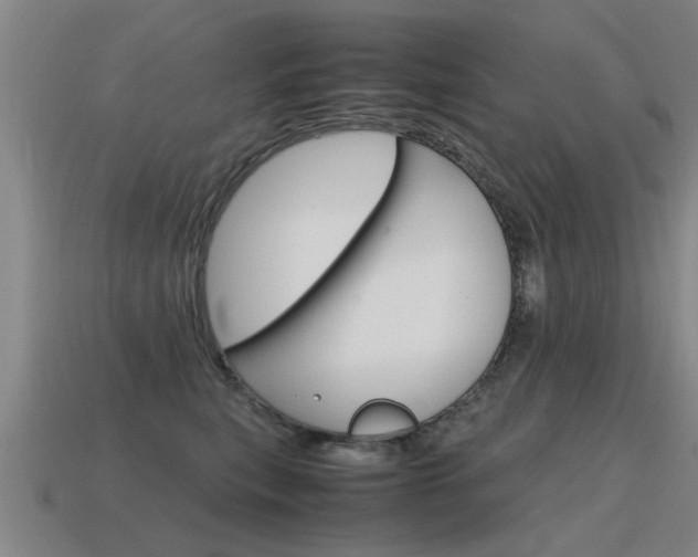 X0000115640567200911101058