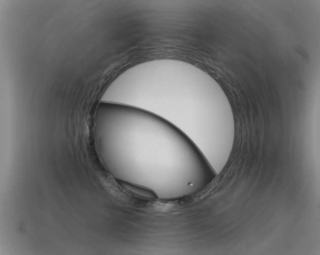 X0000115640570200911101058