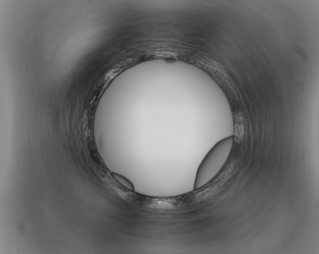X0000115640573200911101058