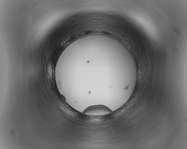 X0000115640574200911101058