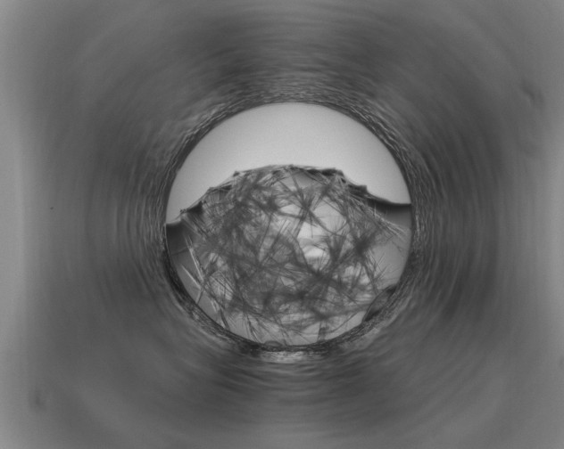X0000115640575200911101058
