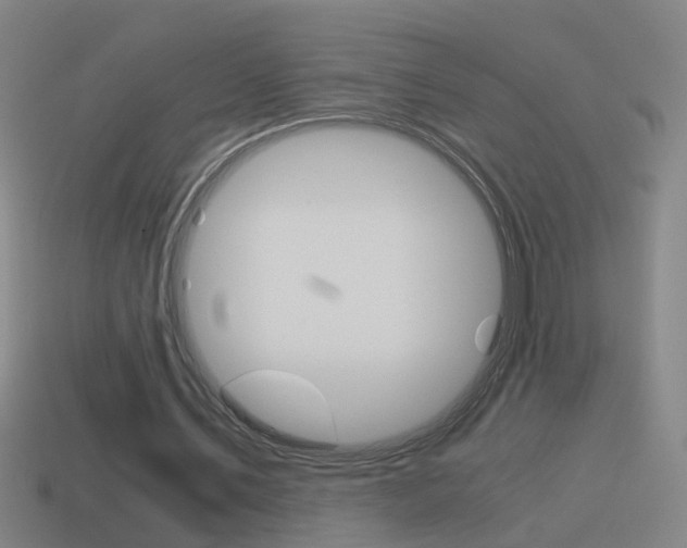 X0000115640579200911101058