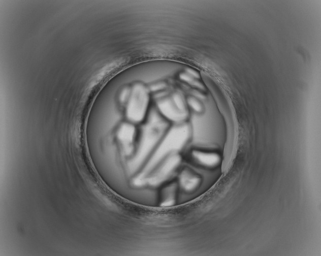 X0000115640581200911101058