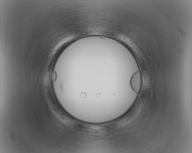 X0000115640583200911101058