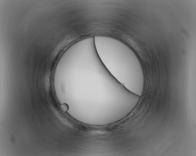 X0000115640586200911101058