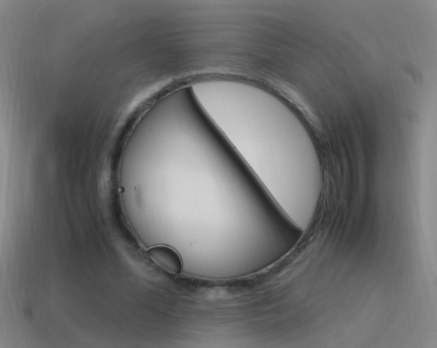 X0000115640588200911101058