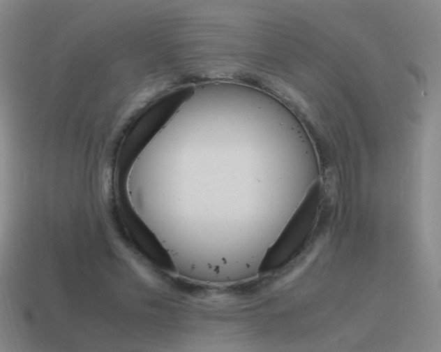 X0000115640589200911101058