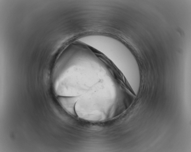 X0000115640592200911101058