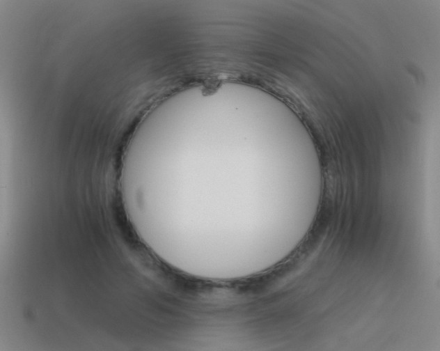 X0000115640594200911101057