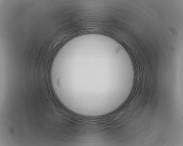 X0000115640595200911101057