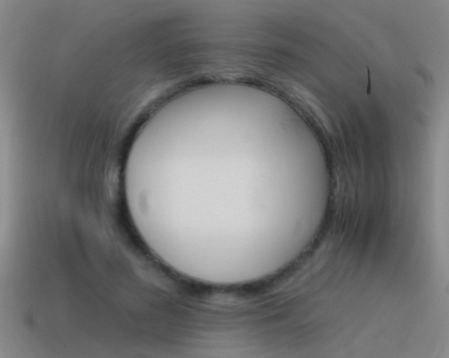 X0000115640596200911101057