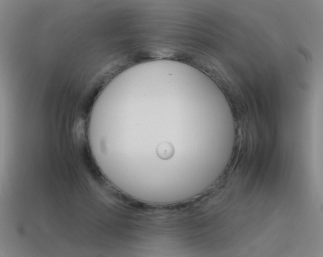 X0000115640598200911101057