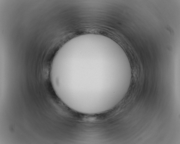 X0000115640602200911101057