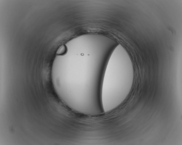 X0000115640604200911101057