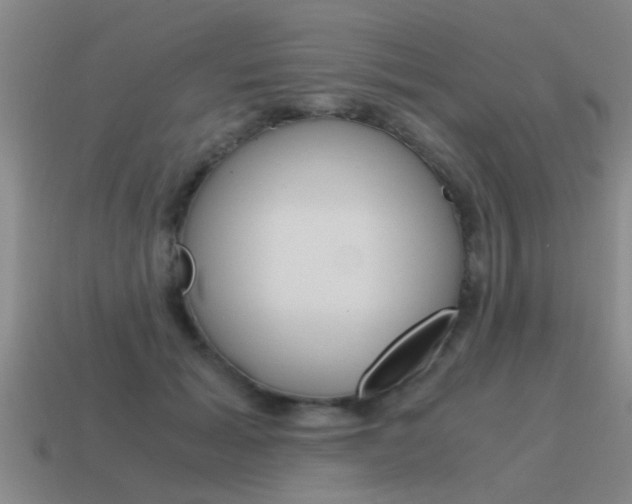 X0000115640605200911101057