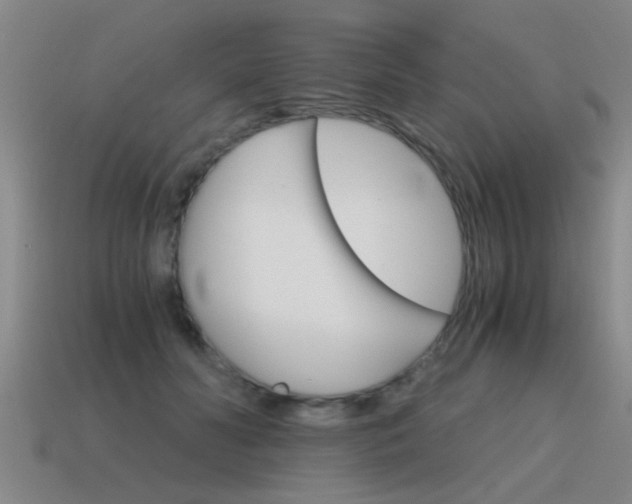 X0000115640606200911101057