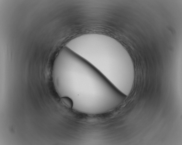 X0000115640608200911101057
