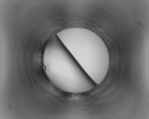 X0000115640612200911101057