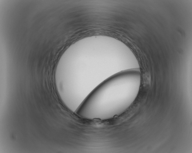 X0000115640613200911101057