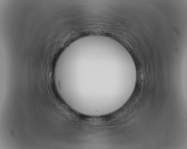 X0000115640615200911101057