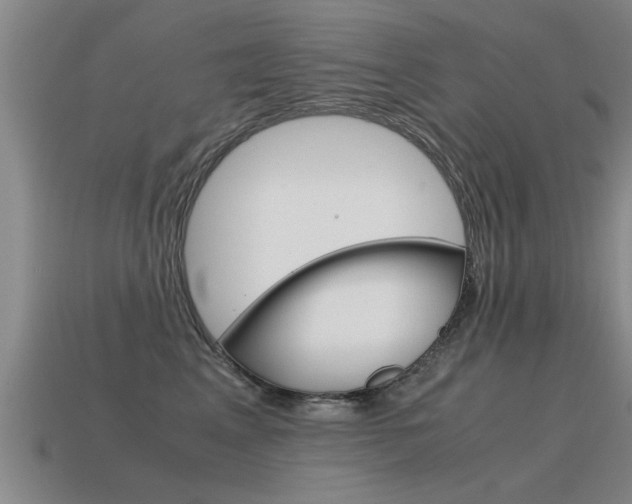 X0000115640617200911101057