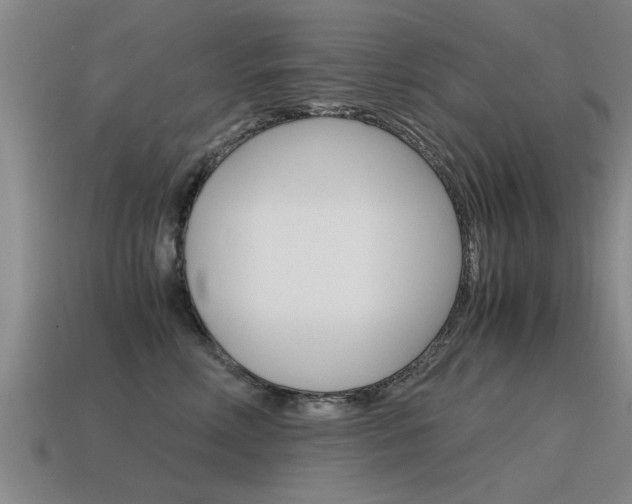 X0000115640618200911101057