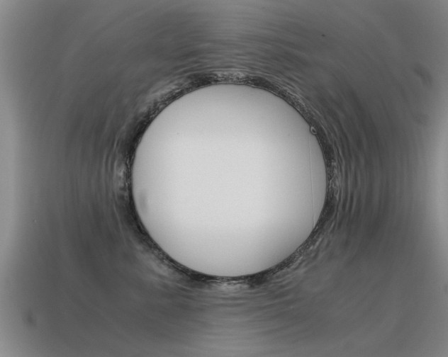 X0000115640619200911101057