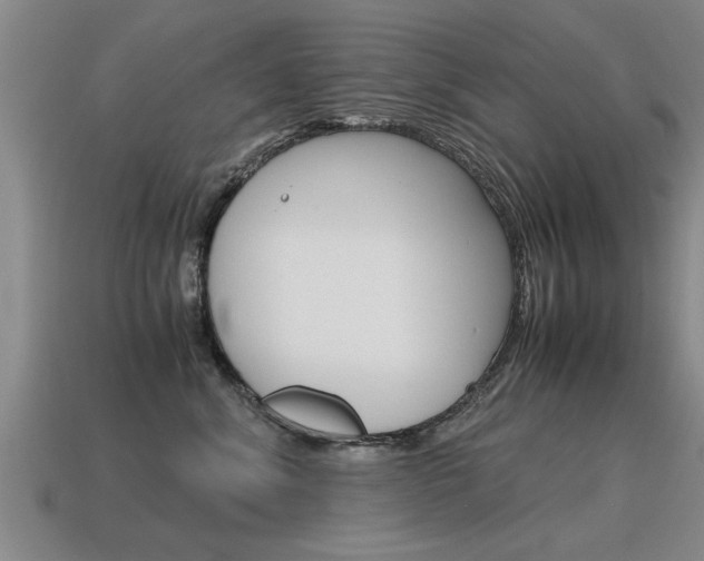 X0000115640620200911101057