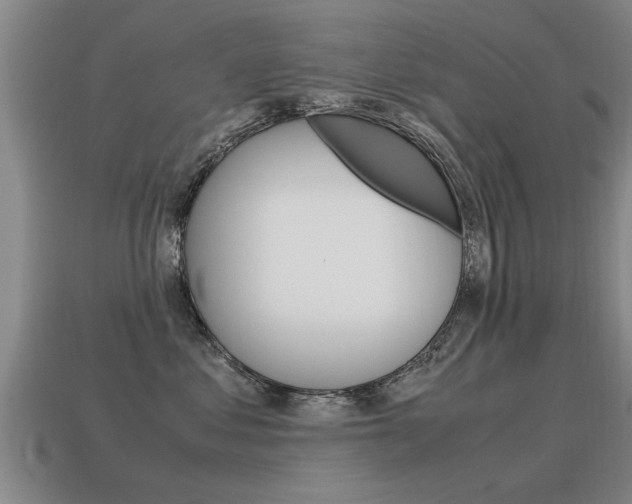 X0000115640621200911101057