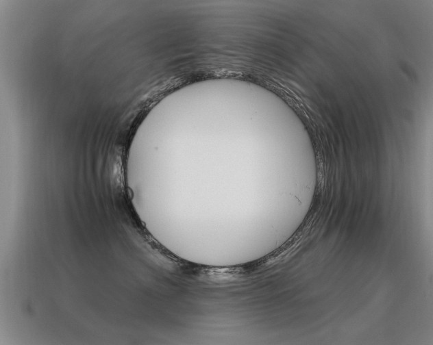 X0000115640622200911101057