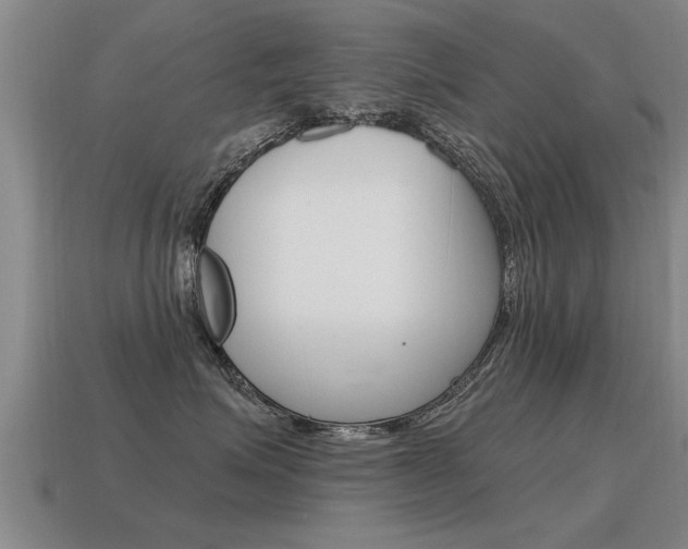 X0000115640623200911101057