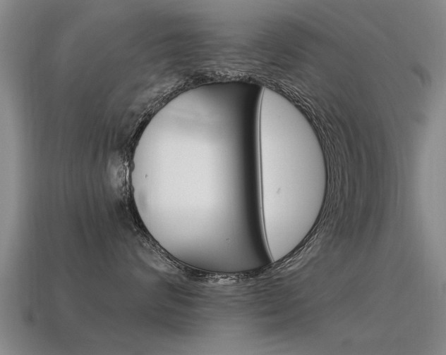 X0000115640624200911101057