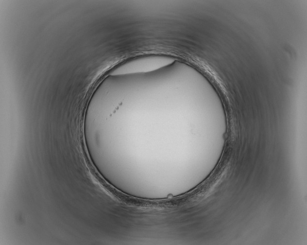 X0000115640625200911101057