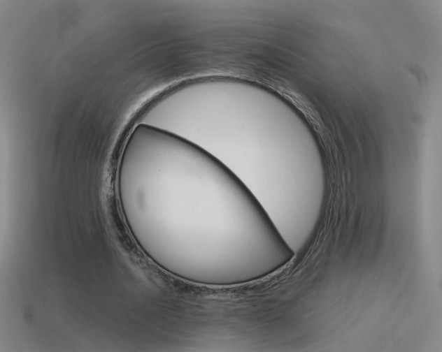X0000115640628200911101057