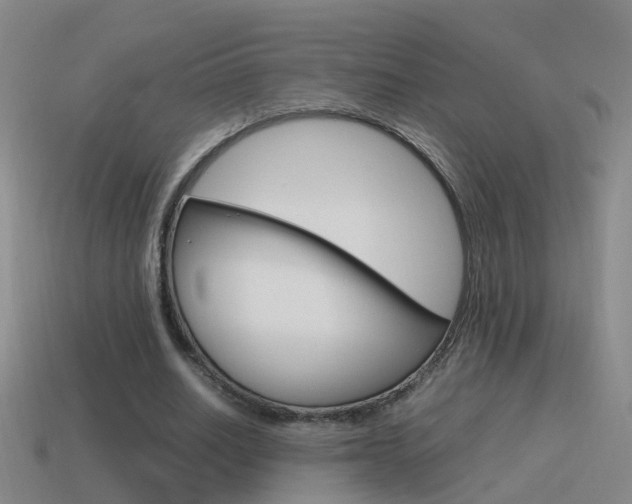 X0000115640630200911101057