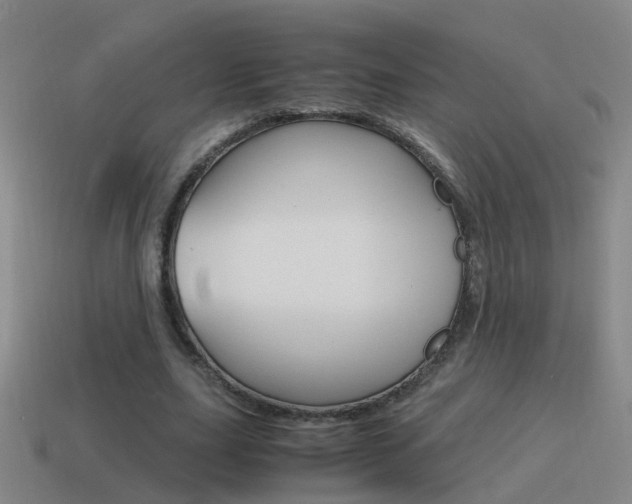 X0000115640631200911101057