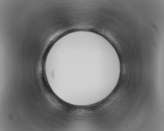 X0000115640632200911101057