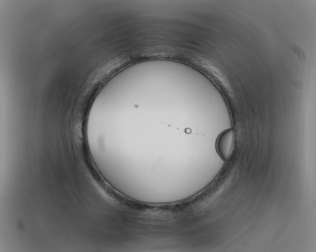 X0000115640633200911101057