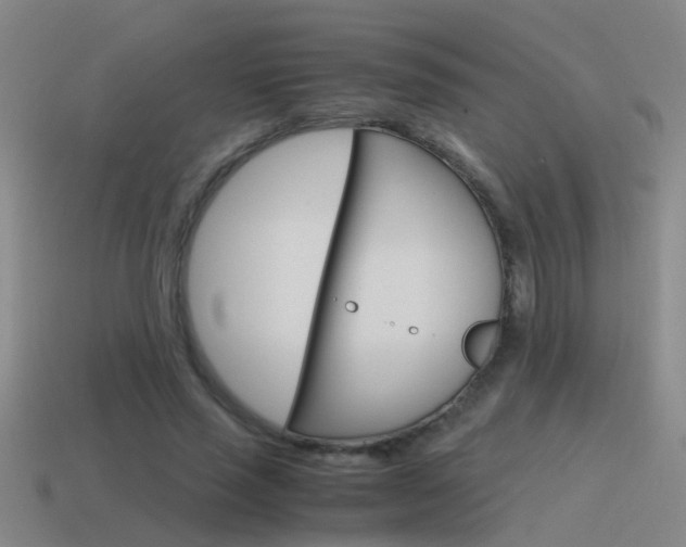 X0000115640637200911101057